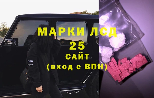 гидра Богданович