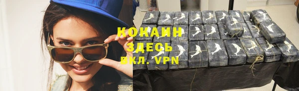 гидра Богданович