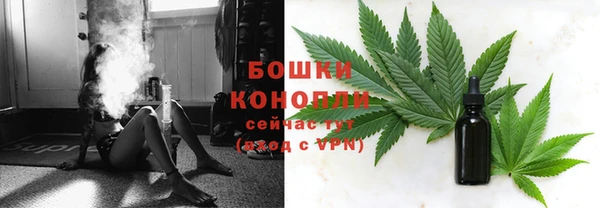гидра Богданович