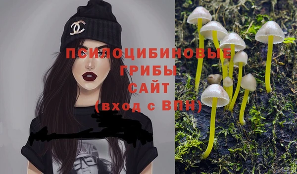 гидра Богданович