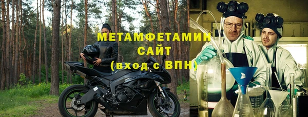 гидра Богданович