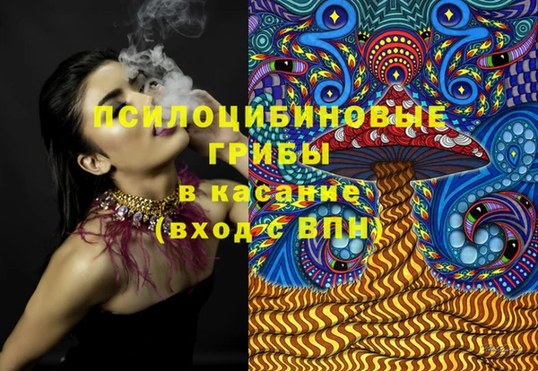 гидра Богданович