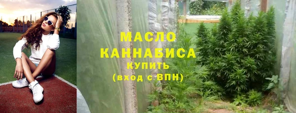 гидра Богданович