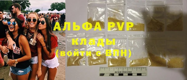 гидра Богданович