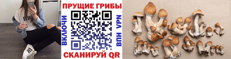 Галлюциногенные грибы Magic Shrooms Гусь-Хрустальный