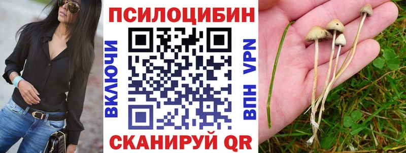 Купить  Гусь-Хрустальный  Псилоцибиновые грибы Psilocybe 
